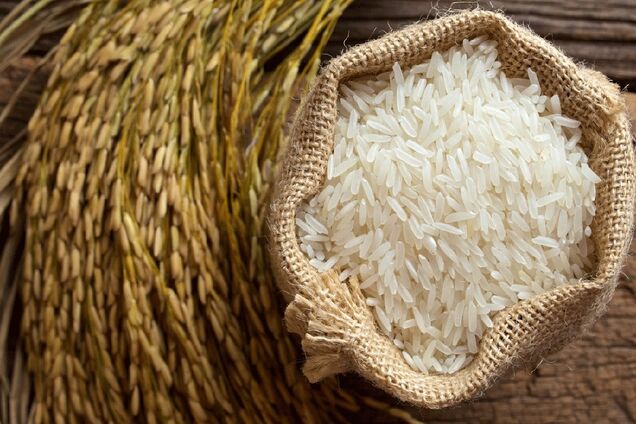 Допомагає схуднути: розвінчаний популярний міф про користь рису