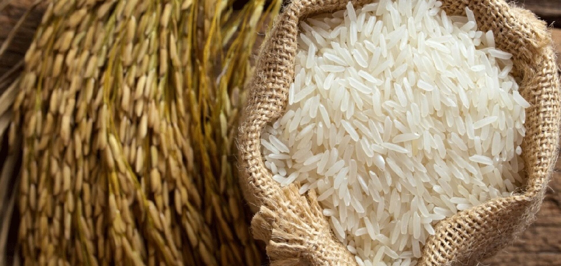 Допомагає схуднути: розвінчаний популярний міф про користь рису