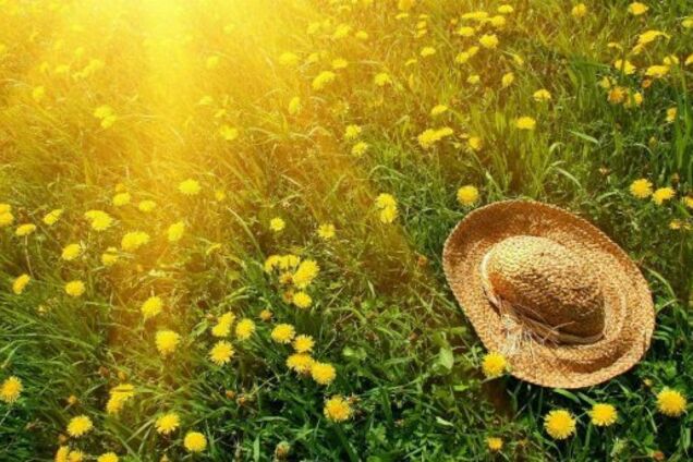 До +30! Синоптик уточнила літній прогноз по Україні