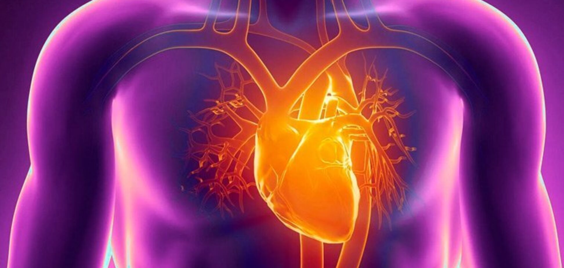 Вчені назвали простий спосіб зберегти серце здоровим