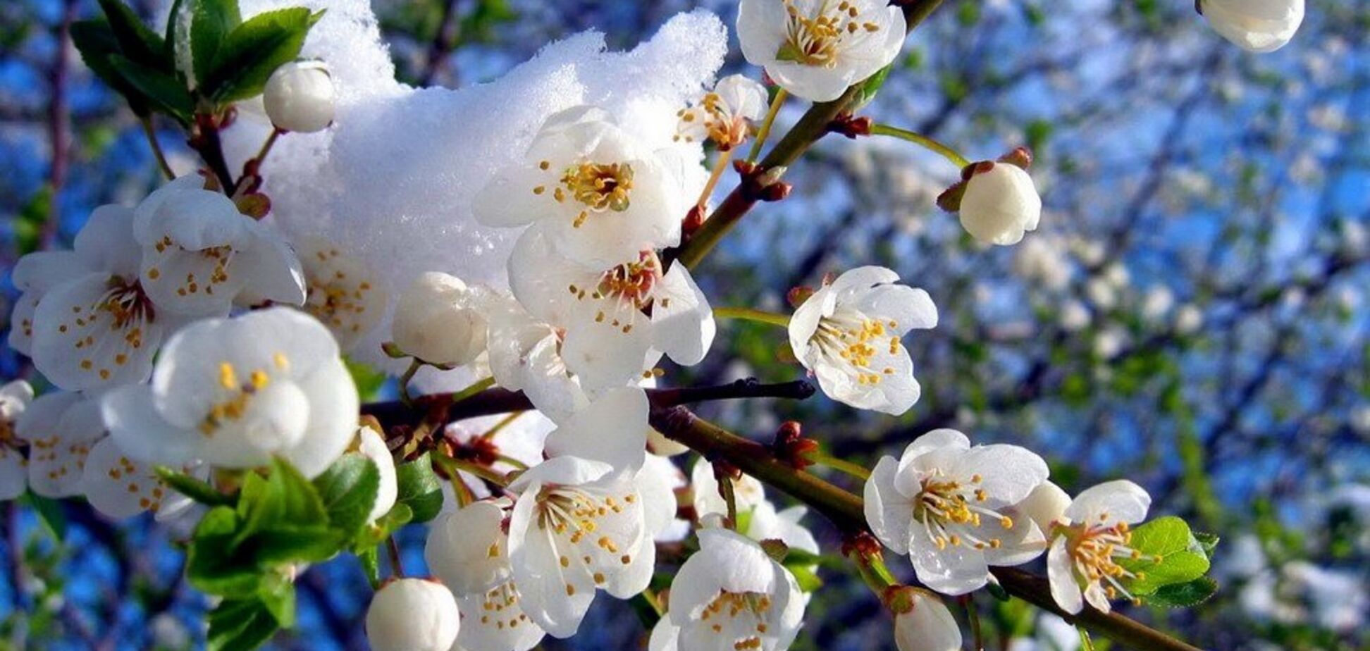 Негода відступає: синоптик дав прогноз на тиждень в Україні