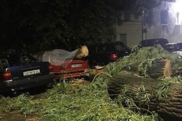 Деревья вырвало с корнем: на Житомирщину обрушился сильный ураган. Фото