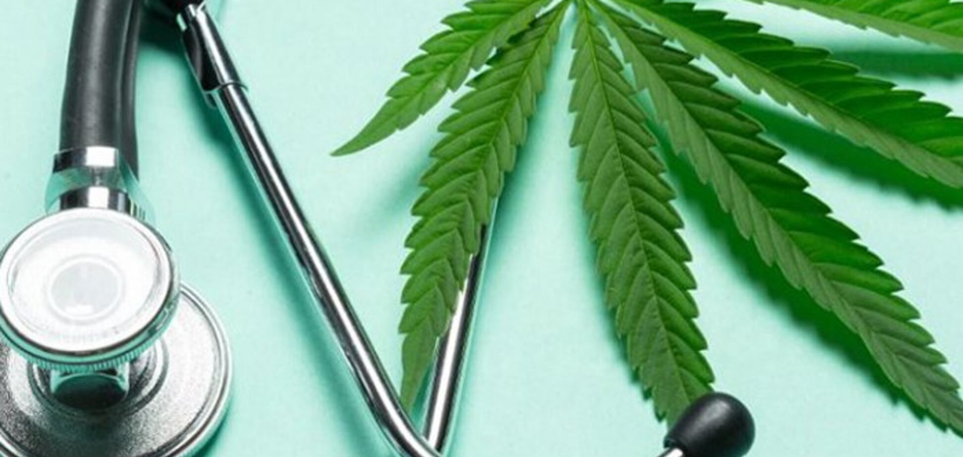Легализация медицинской марихуаны: в Верховной Раде зарегистрировали законопроект