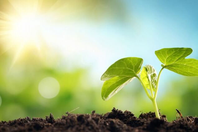 В Мариуполе 'экологи' не могут определиться, под флагами какой партии выйти на митинг