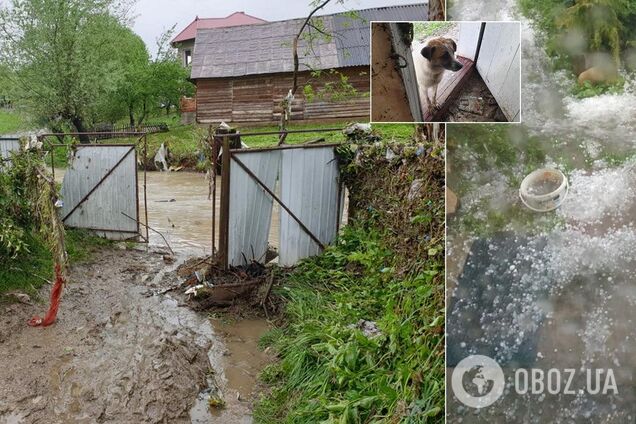 Залило и засыпало градом: Прикарпатье ушло под воду из-за непогоды. Фото и видео последствий