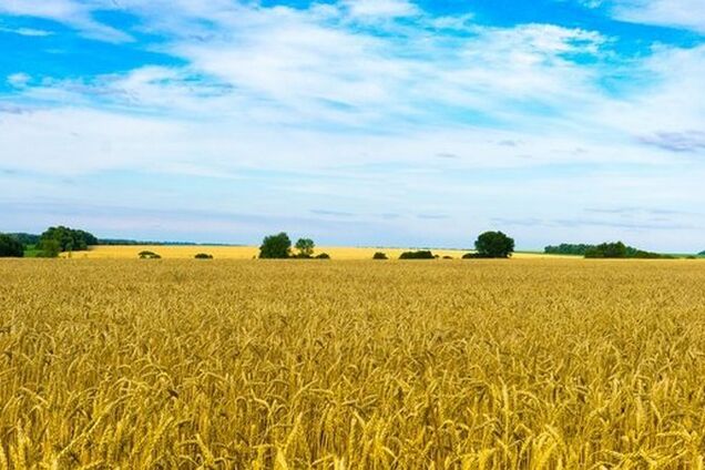 Через три месяца вы, восторженные, можете проснуться в другой стране!