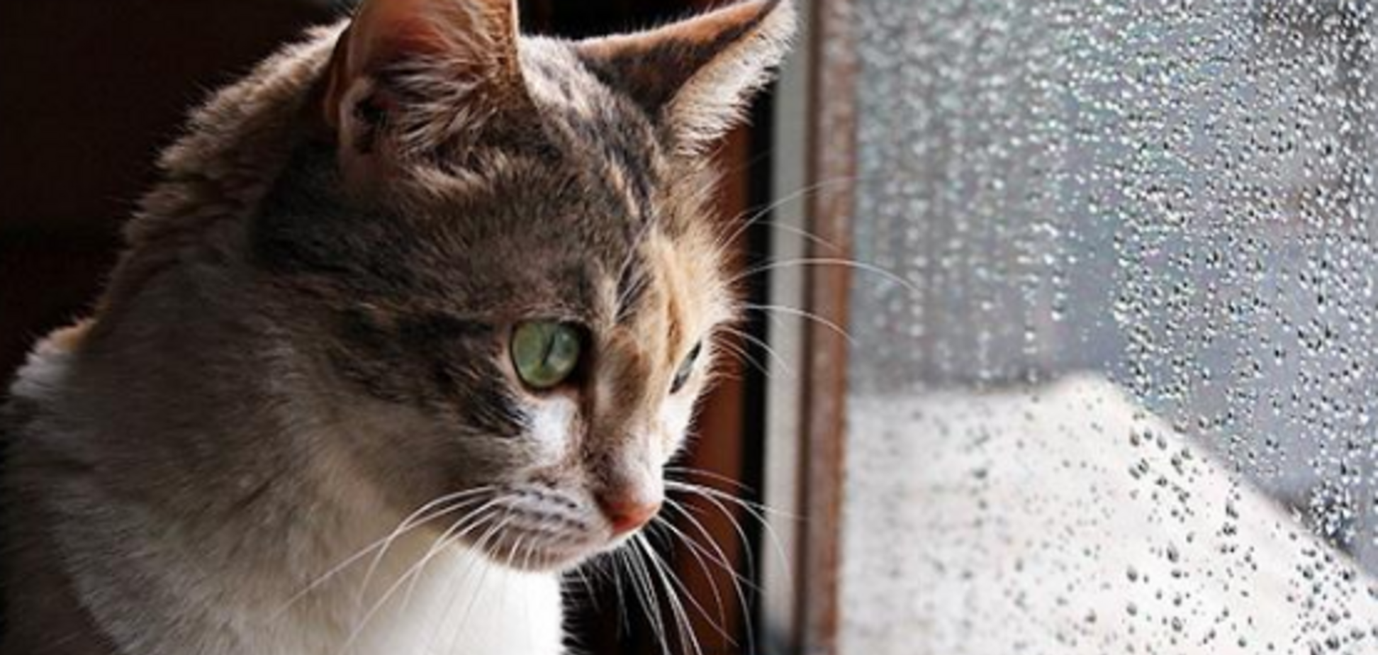 Погода в Україні