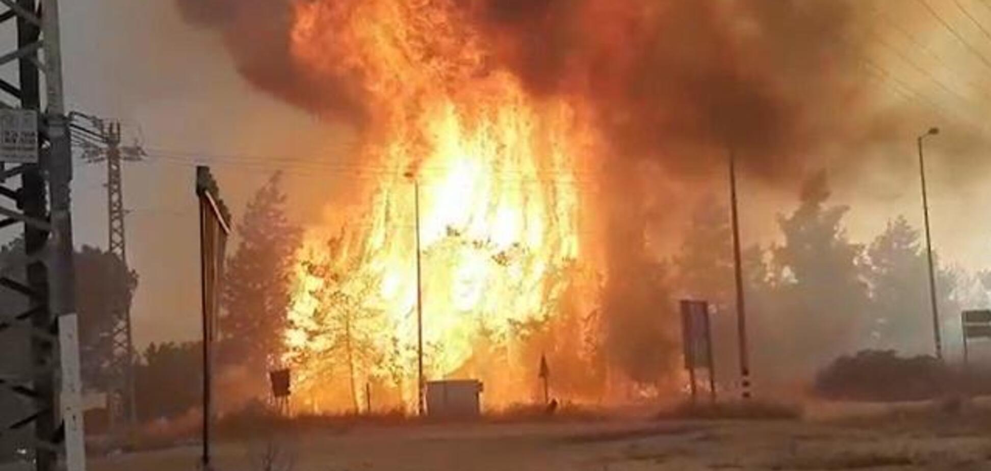 'Огненные шары' подожгли Израиль: леса полыхают, людей эвакуируют. Все подробности, фото и видео