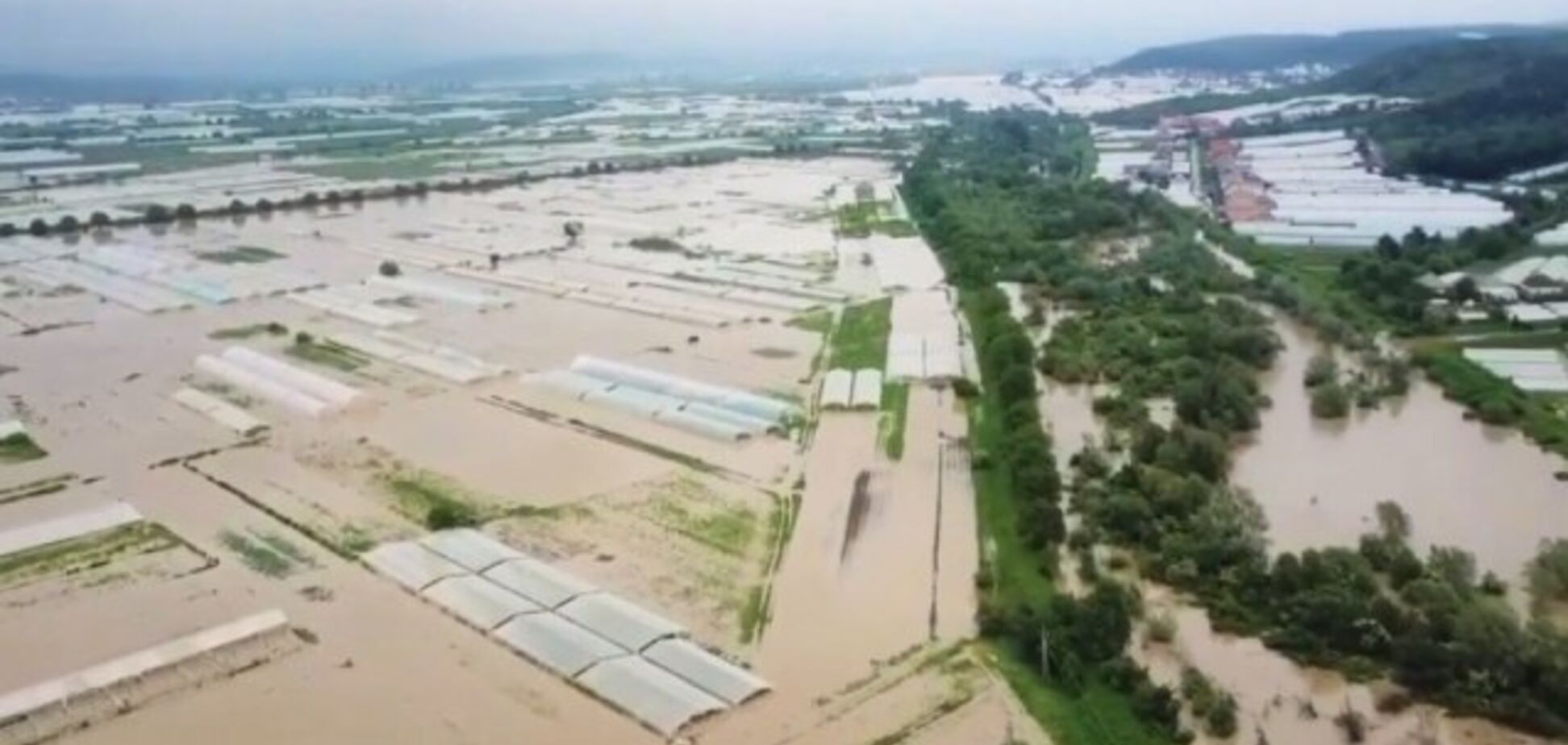 Закарпатье ушло под воду: опубликованы фото и видео страшного потопа