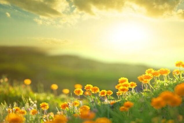 В Украину идет настоящее лето