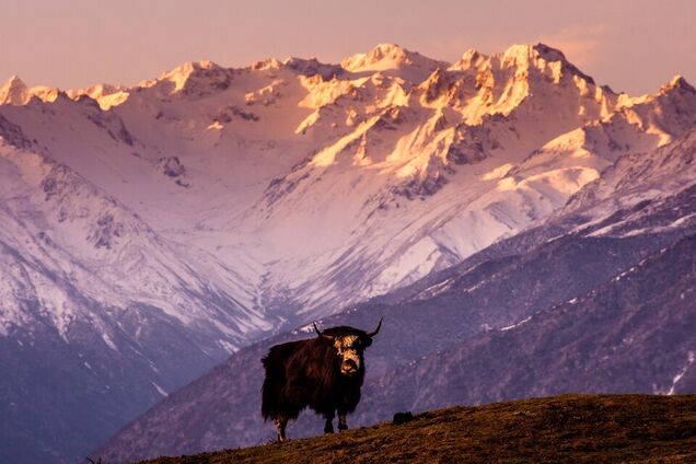 Переживуть кінець світу: названі дві щасливі країни