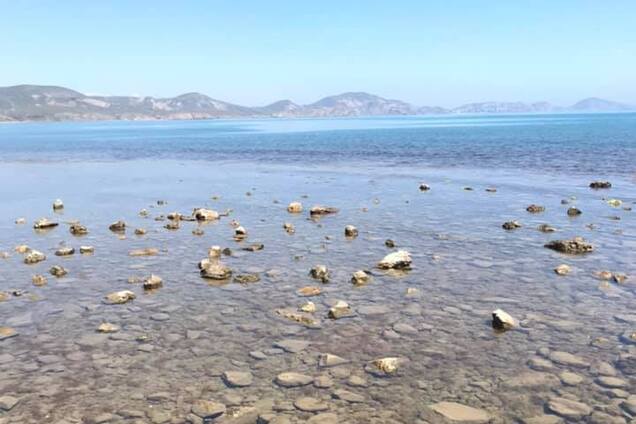 Это провал! Фанат Путина разгромил туристический сезон в Крыму