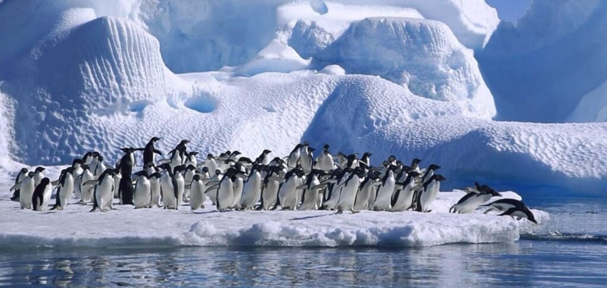 Мир пугают новым ледниковым периодом: ученая дала прогноз