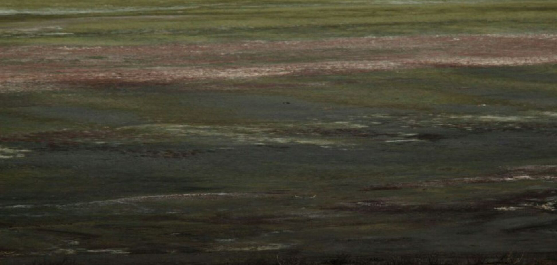 Як екокатастрофа кардинально змінила Крим: апокаліптичні фото