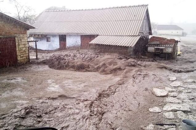 Дома уйдут под воду: эколог предупредила Украину о серьезной угрозе