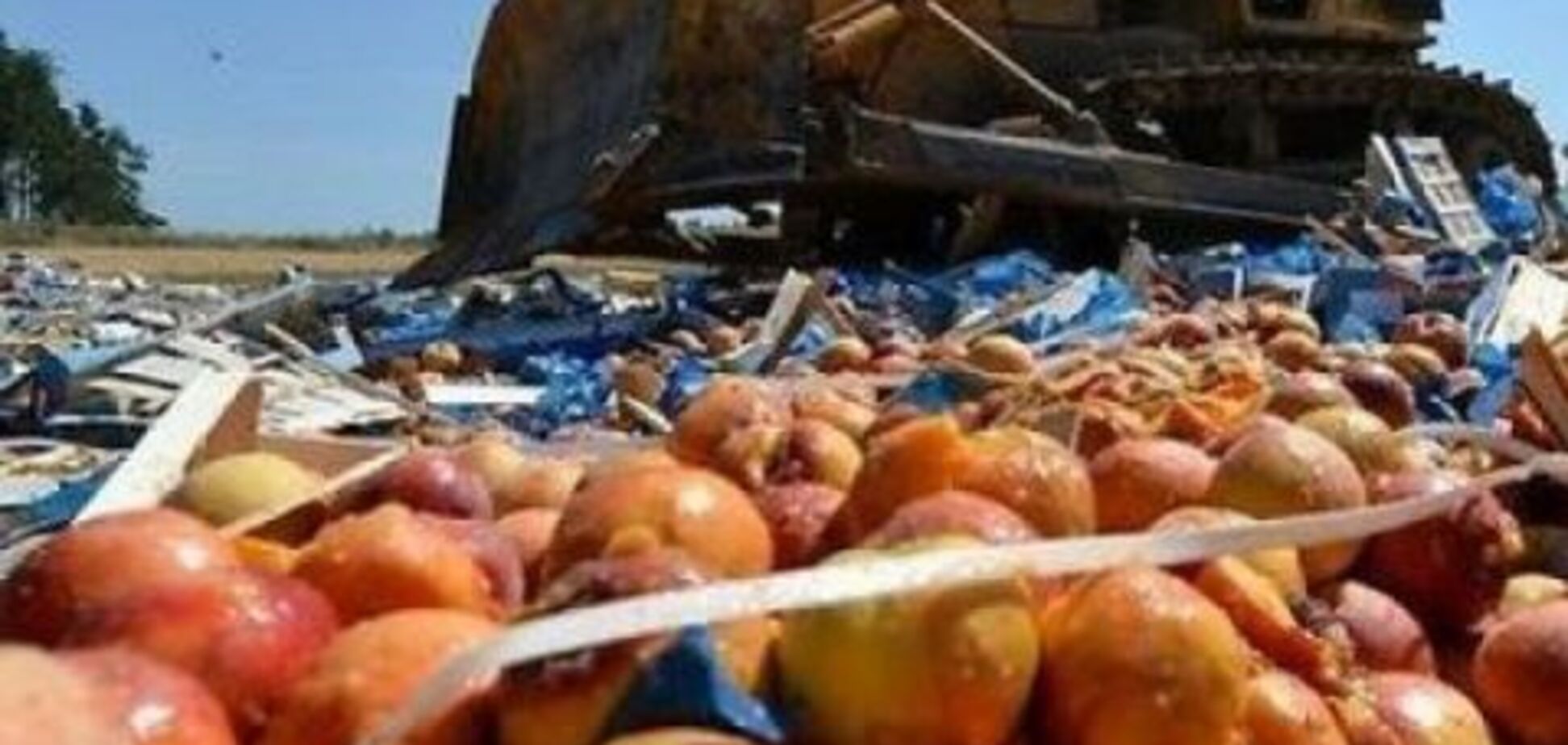 'Вражеские фрукты': в России бульдозером уничтожили 'санкционные' яблоки и нектарин