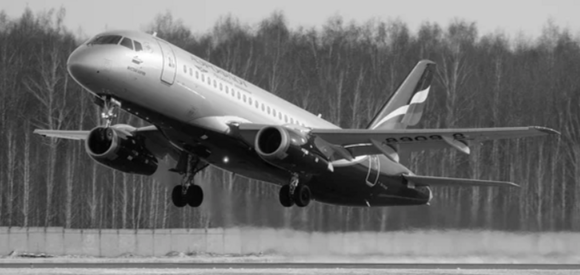 Катастрофа в Шереметьево: смерть пассажиров на совести и выживших