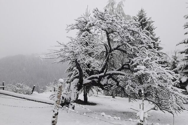'Готовим лыжи!' В Украине внезапно выпал снег