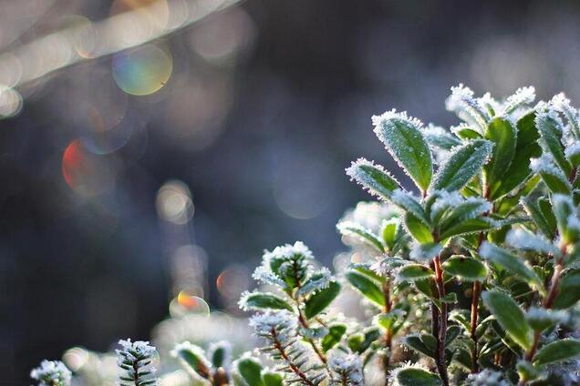 Заморозки, сніг і грози: синоптики налякали холодним прогнозом по Україні