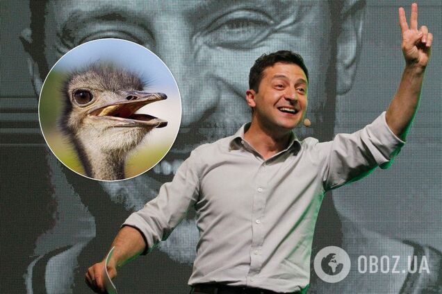 Премія 'Страуса': 'прикид' Зеленського, повернення Міхо і співоча Рада