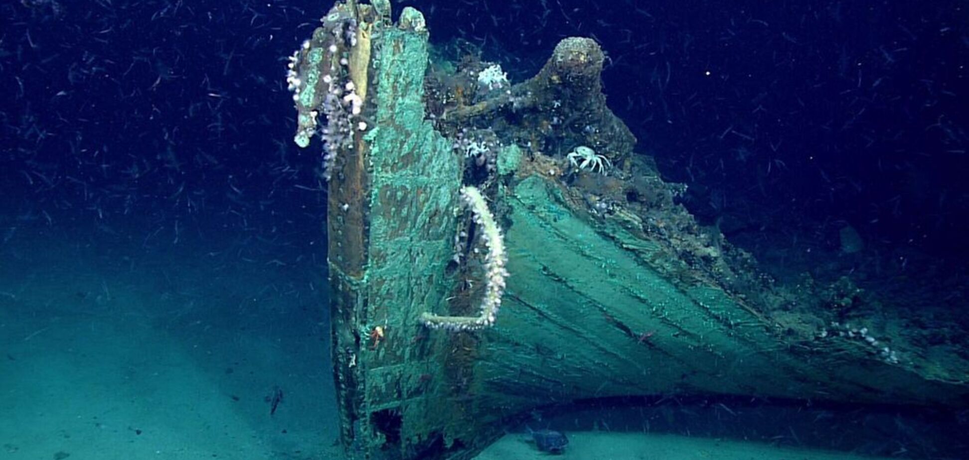 'Зняли кілька артефактів': на дні Мексиканської затоки знайшли 'корабель-привид'