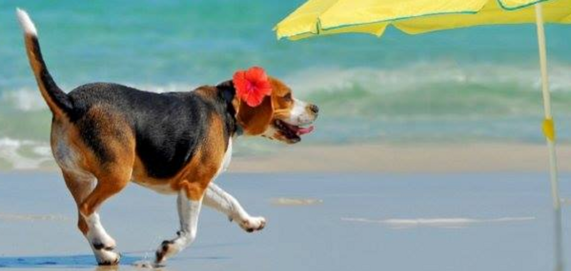 Припечет до +34! Синоптики дали адский прогноз по Украине