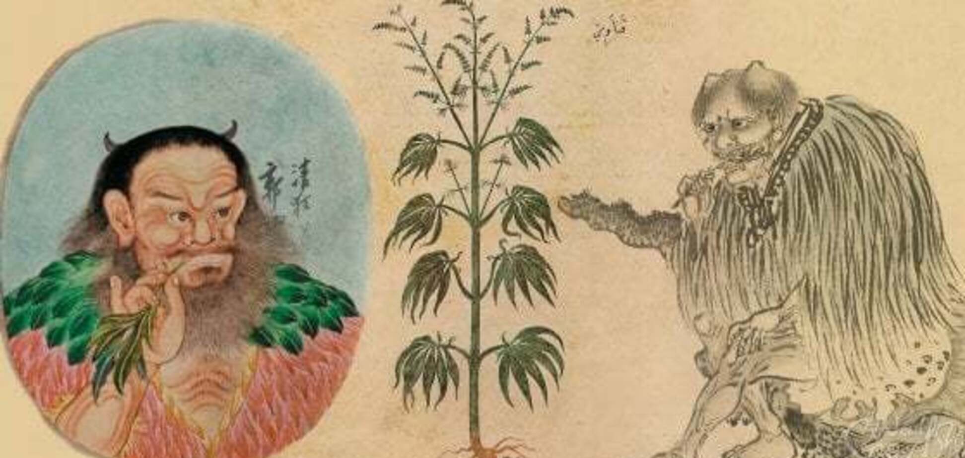 Курили 2,5 тысячи лет назад: где впервые использовали коноплю как наркотик