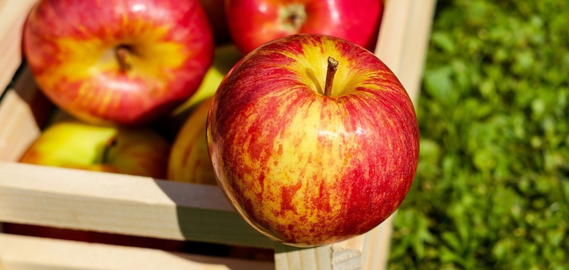 Як захистити нирки: названі топ-5 продуктів