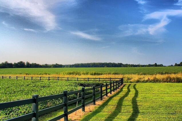Що таке Народна земельна реформа Головіна