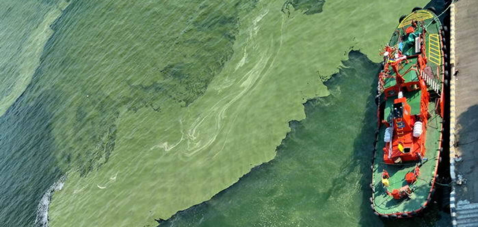 Зеленое море в Одессе