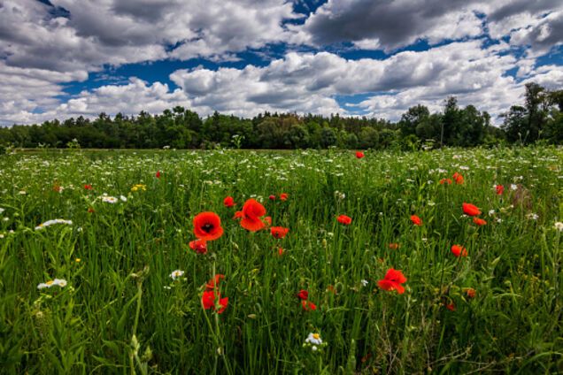 Троїцька поминальна субота 2019: чого не можна робити в цей день