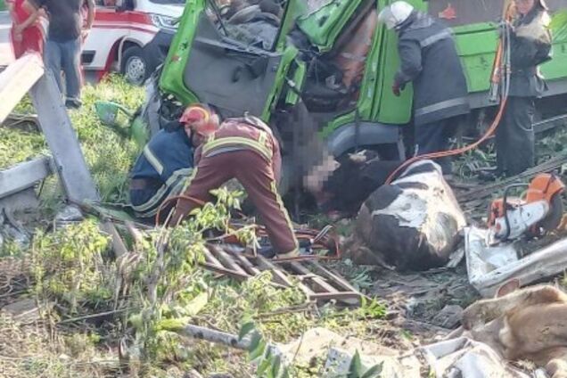 Под Киевом произошло смертельное ДТП: что известно