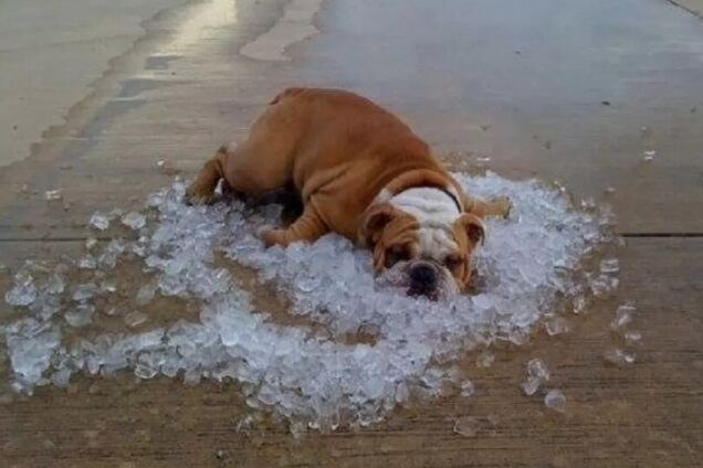 Экстремальная жара в Украине: Супрун дала советы, как спастись