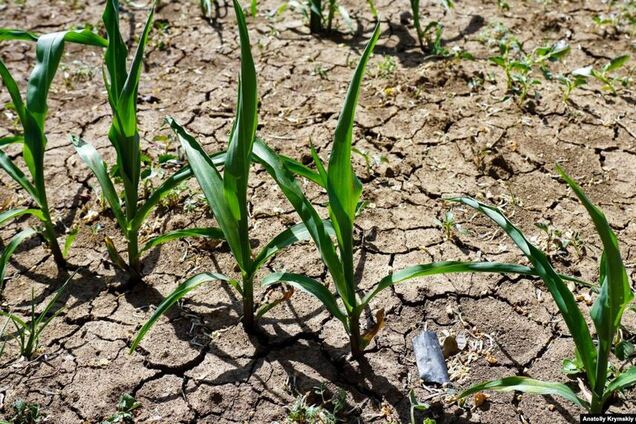 Епідемії в Криму: окупантів запідозрили в підготовці диверсії