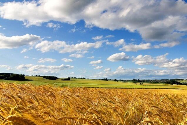 Усмажить до +36! Синоптики пообіцяли аномальну погоду в Україні