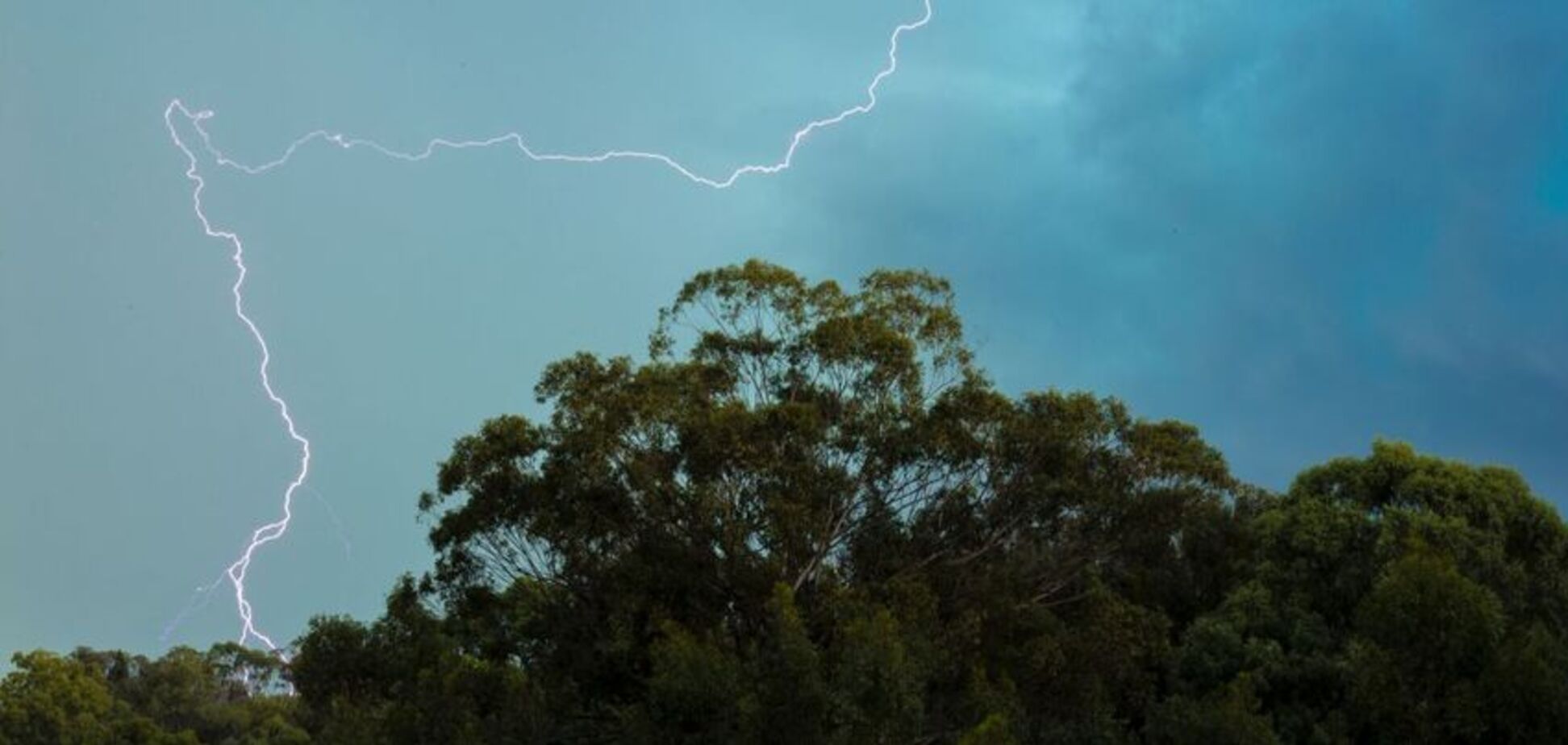 На Ивано-Франковщине молния на месте убила троих: новые детали