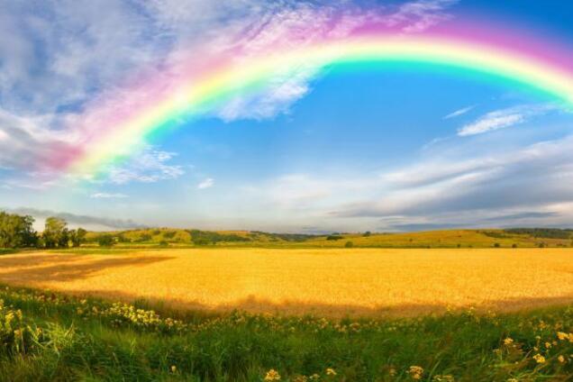 Жара не пройдет: синоптик дал прогноз на июль и август в Украине