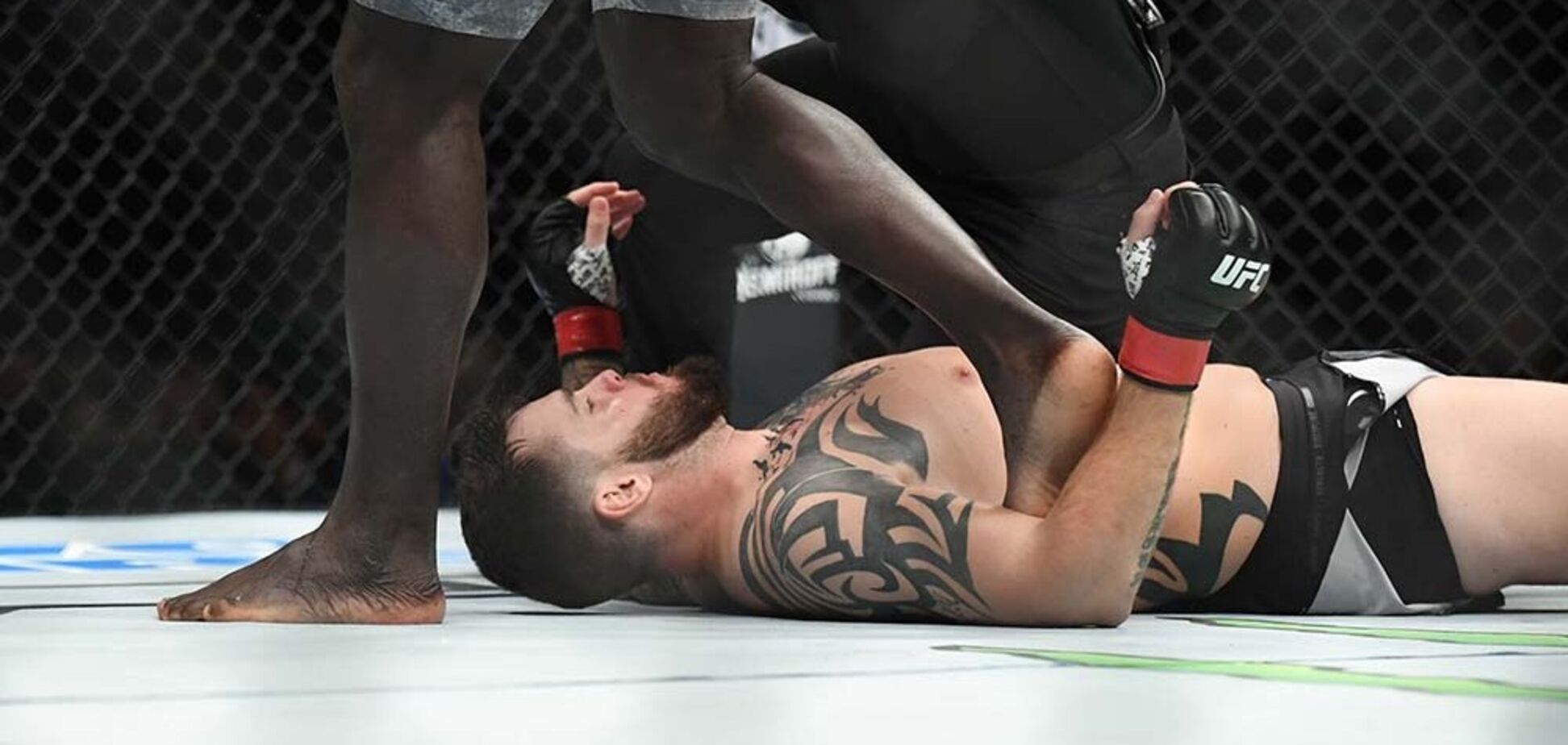 Боєць UFC виграв бій ефектним нокаутом за дев'ять секунд