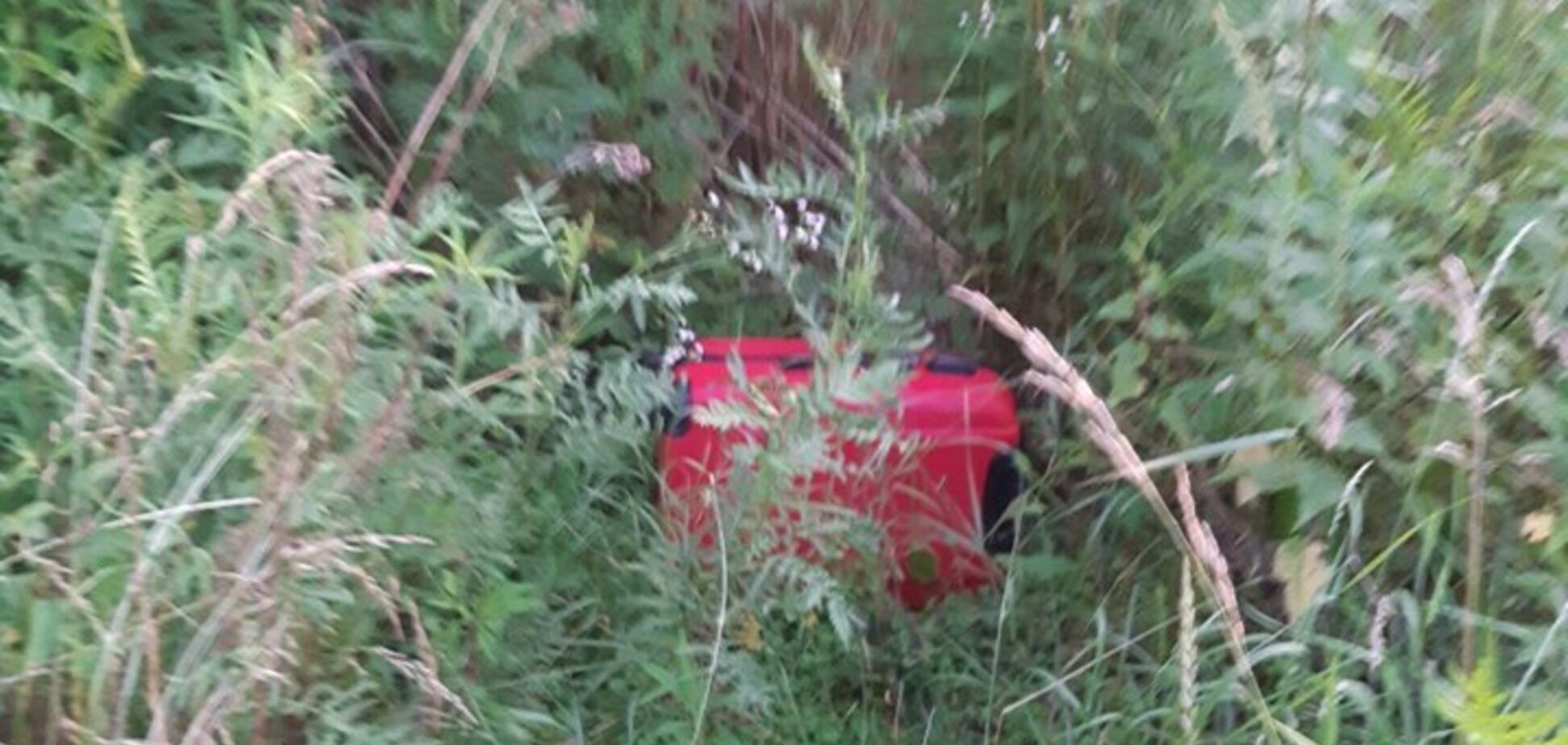 Перед смертью сильно били: появились данные о горе-матери ребенка из чемодана. Фото