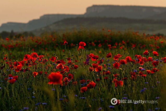 Даже не пытайтесь торговать Крымом – мы не позволим!