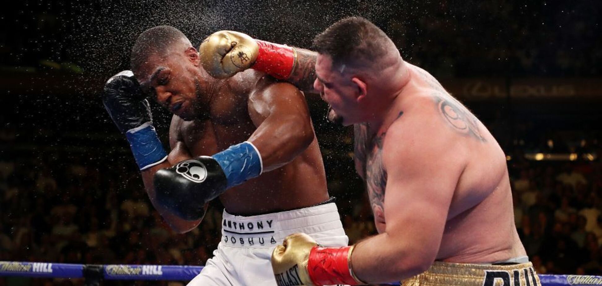 'Просто обос**л': Фьюри жестоко унизил Джошуа