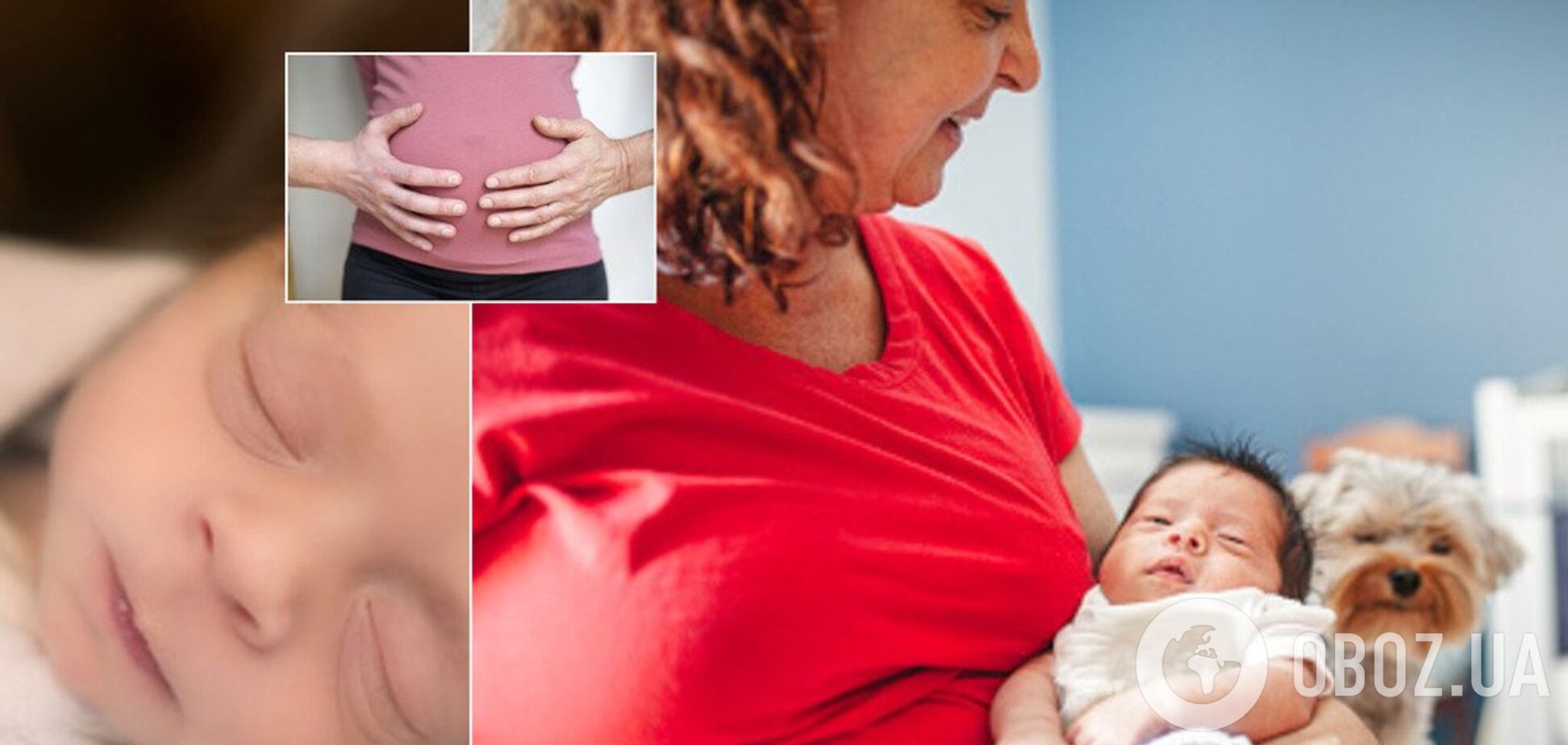 Сурогатне материнство в Україні