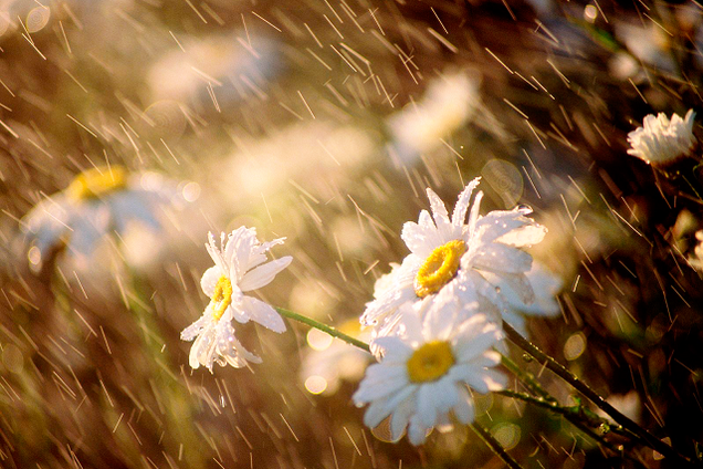 Спека до +34: синоптик дала прогноз на вихідні по Україні