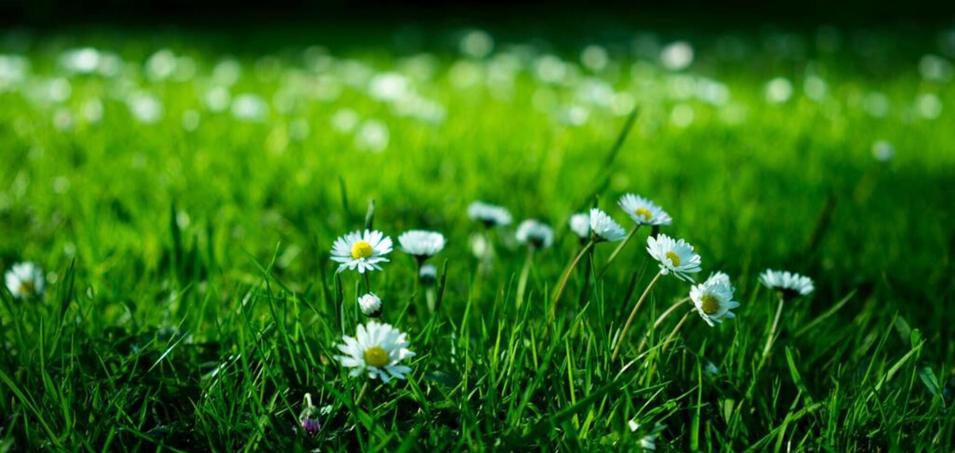 До Києва йде 30-градусна спека: чого чекати від погоди