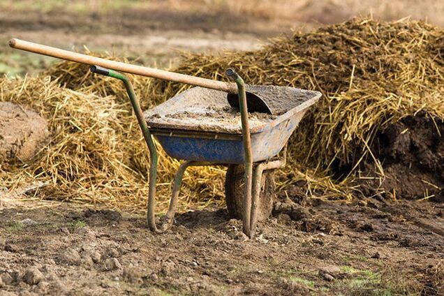 Люди утонули в навозе: в российской деревне произошла трагедия