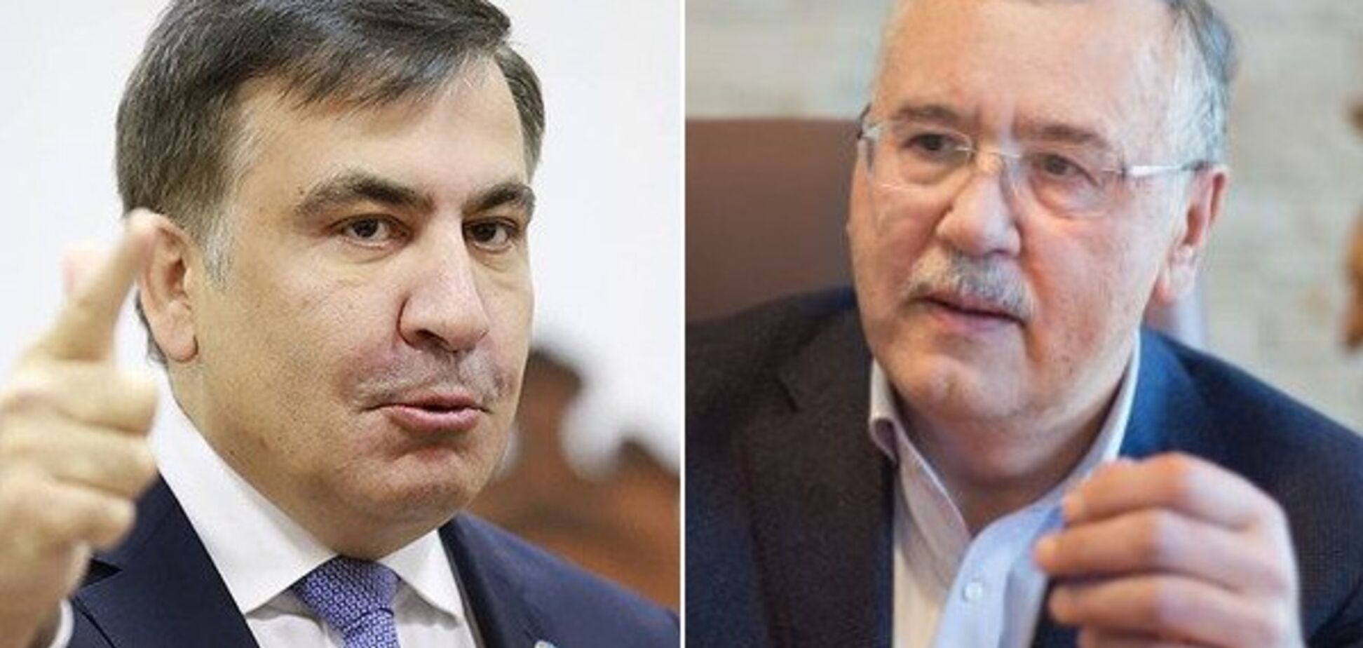 Гриценко и Саакашвили хотят объединиться перед выборами в Раду