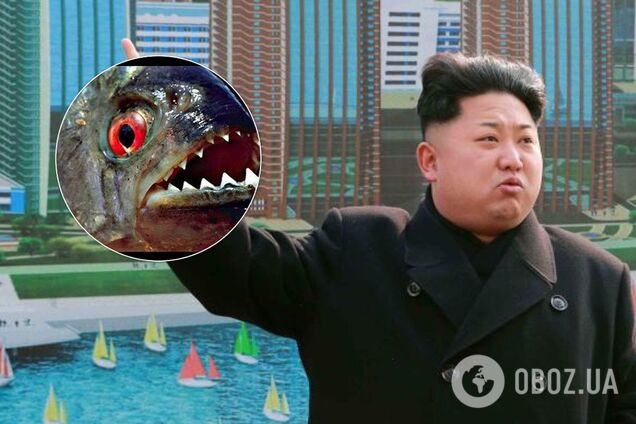 Скормил генерала пираньям: Ким Чен Ын опробовал новый вид казни