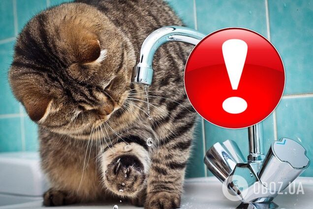 Запасайтеся, хто може: жителі Дніпра залишаться без води