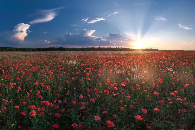 Петра і Павла 2019: що категорично заборонено робити у свято