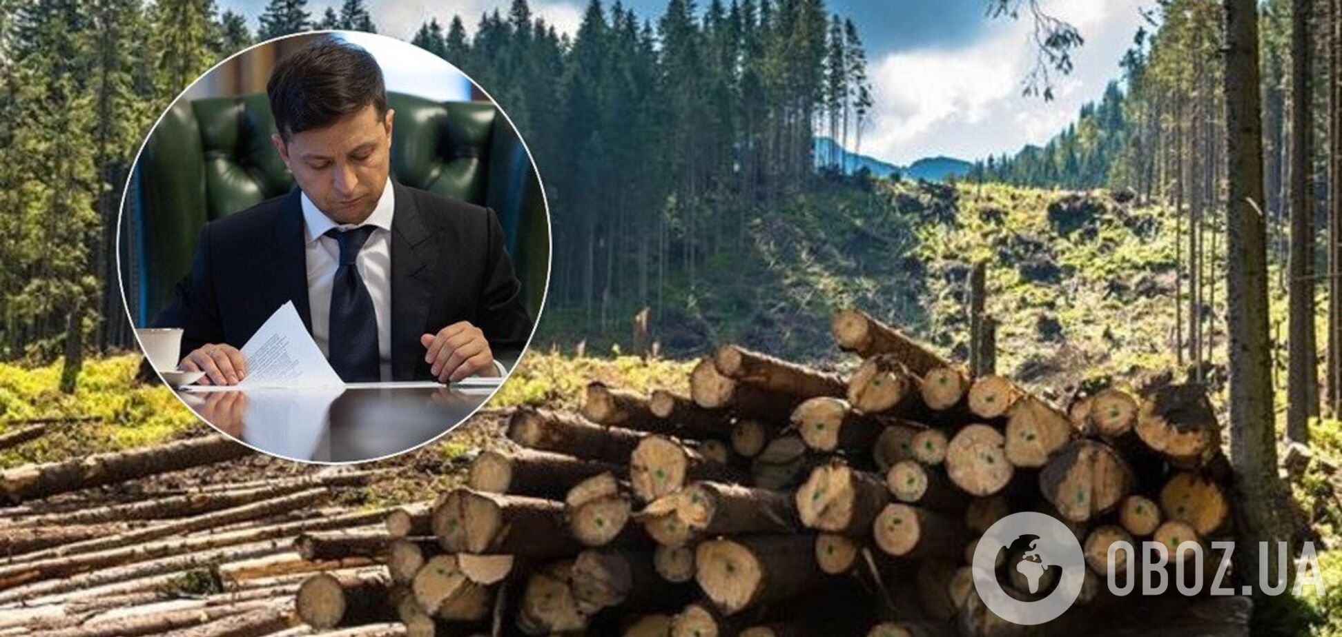 Зеленський ухвалив кардинальне рішення у боротьбі з вирубкою лісу: указ підписано